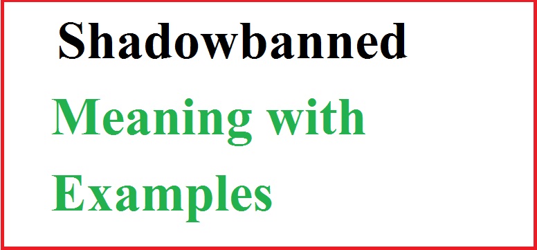 Shadowbanned Meaning with examples